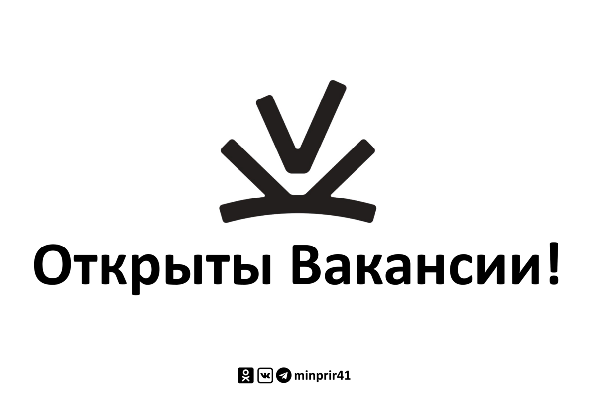 Ищем сотрудников в команду КГБУ “Природный парк ”Вулканы Камчатки” !