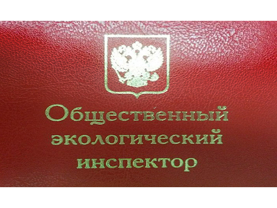 Камчатцев приглашают вступить в ряды общественных инспекторов по охране окружающей среды