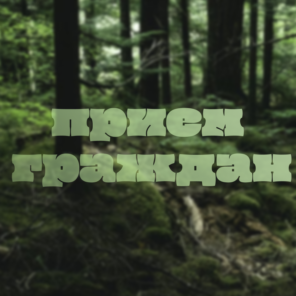 Отчёт о приёме граждан