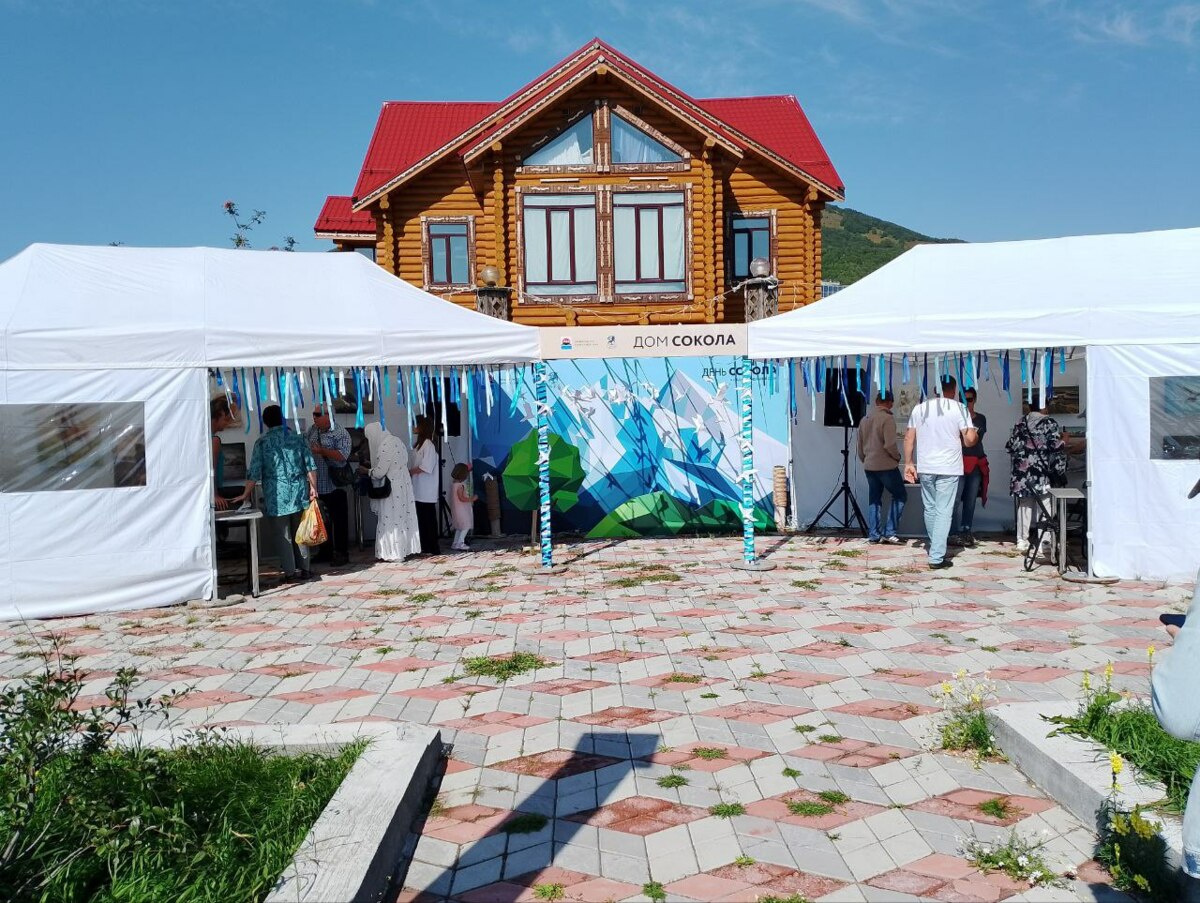 День сокола отмечают в столице Камчатки