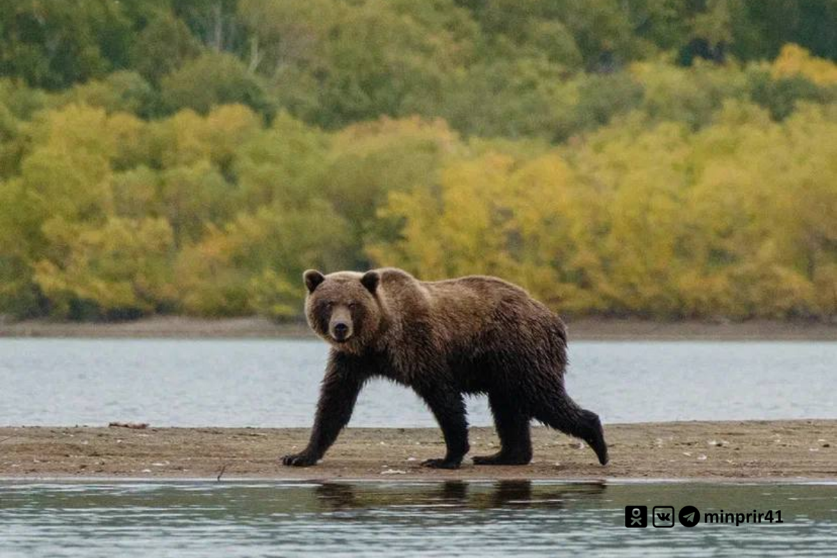 В заказниках края прошли плановые рейды!