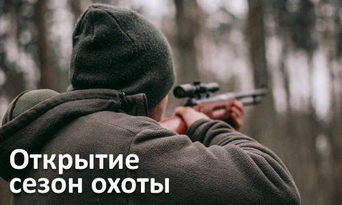 О начале сезона охоты