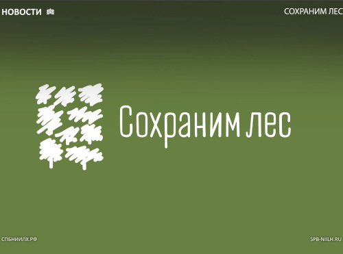 Прими участие и ты!