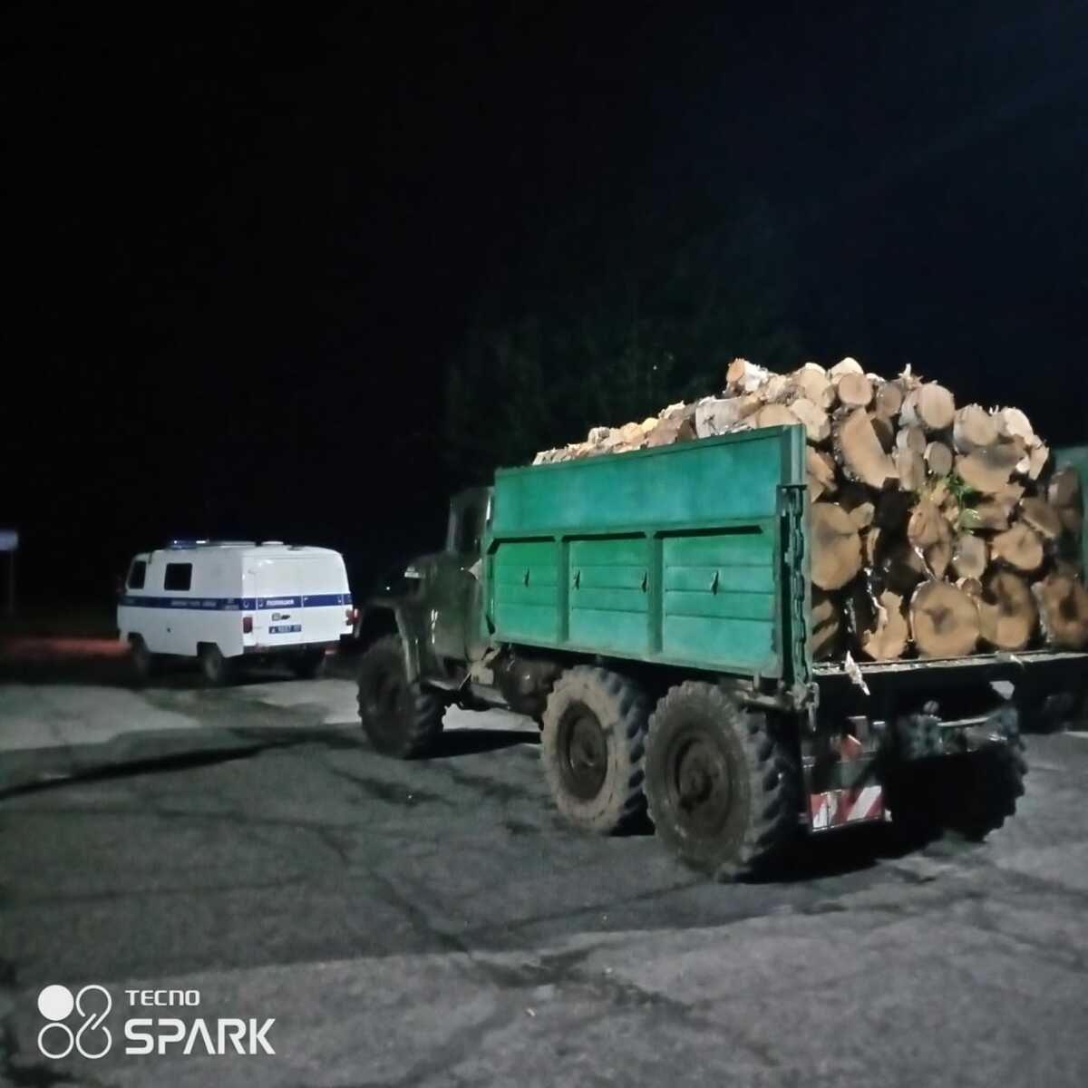 За незаконную рубку лесных насаждений повторно задержан житель Елизовского района