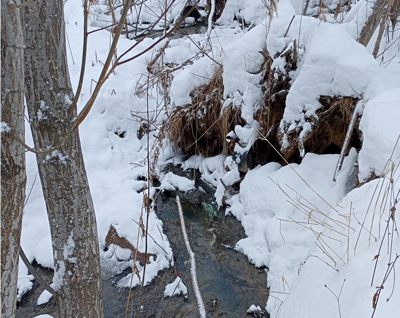 По иску природоохранной прокуратуры КГУП «Камчатский водоканал» и краевое Министерство ЖКХ обязали устранить разлив сточных вод на улице Солнечной