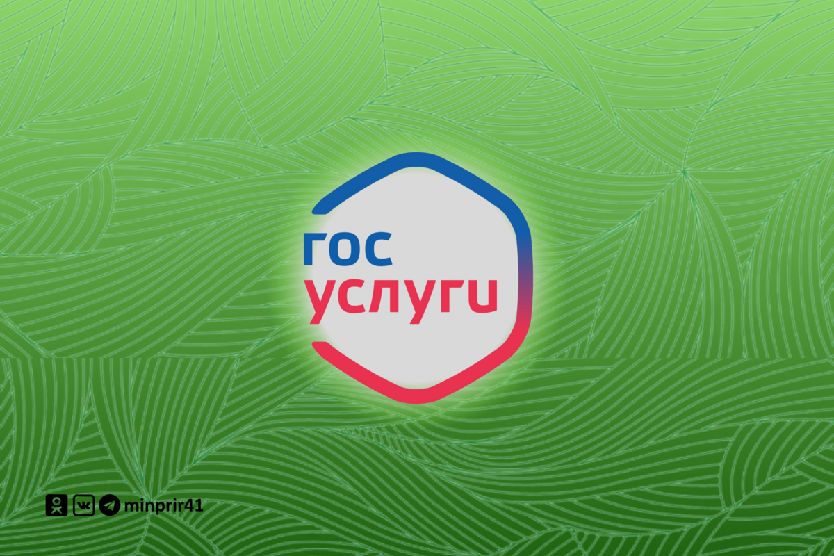 Не забывайте про возможность получения услуг в сфере охоты в электронном формате!