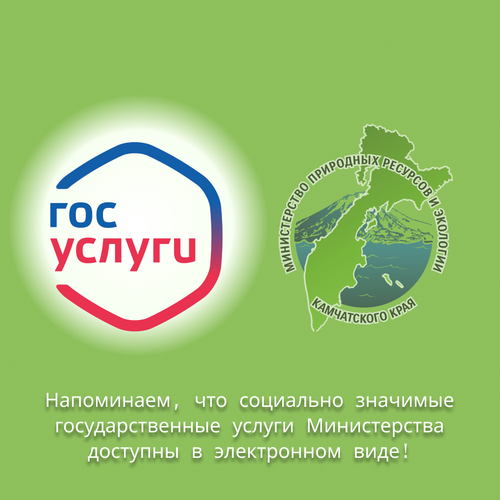 Возможность подачи заявлений на выдачу разрешений на добычу охотничьих ресурсов и получения охотничьего билета, не выходя из дома, появилась у жителей Камчатского края
